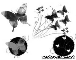 Набор кистей «Бабочки» для Photoshop